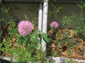 Enlarge photo 299