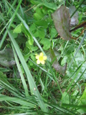 Enlarge photo 300