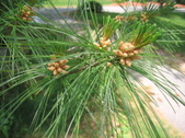 Enlarge photo 305