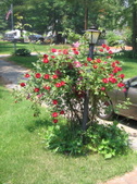Enlarge photo 326