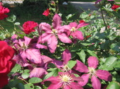 Enlarge photo 309