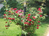 Enlarge photo 312