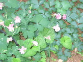 Enlarge photo 313