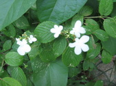 Enlarge photo 316