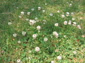 Enlarge photo 318