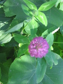Enlarge photo 347