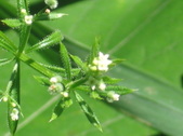 Enlarge photo 353