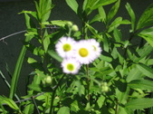 Enlarge photo 355
