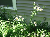 Enlarge photo 357