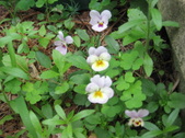 Enlarge photo 373