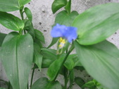 Enlarge photo 377