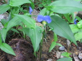 Enlarge photo 378