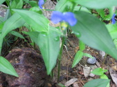 Enlarge photo 379