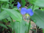 Enlarge photo 380