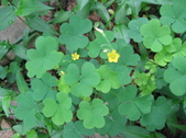 Enlarge photo 382