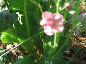 Enlarge photo 394