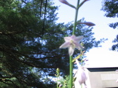 Enlarge photo 399