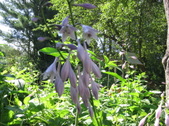 Enlarge photo 407