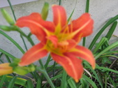 Enlarge photo 414