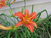 Enlarge photo 415