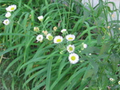Enlarge photo 416