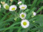Enlarge photo 417