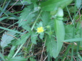 Enlarge photo 421