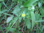 Enlarge photo 422