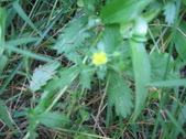 Enlarge photo 423