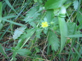 Enlarge photo 424