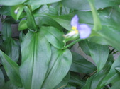 Enlarge photo 425
