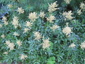 Enlarge photo 429