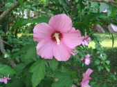 Enlarge photo 431