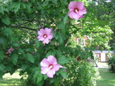 Enlarge photo 434