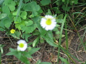 Enlarge photo 436