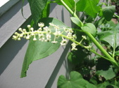 Enlarge photo 443