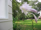 Enlarge photo 444