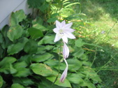 Enlarge photo 447