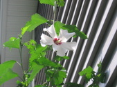 Enlarge photo 449