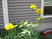 Enlarge photo 456