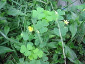 Enlarge photo 340