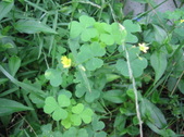 Enlarge photo 457