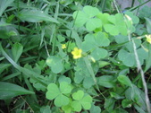 Enlarge photo 458