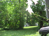 Enlarge photo 465