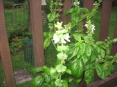 Enlarge photo 478