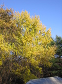 Enlarge photo 481