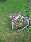 Enlarge photo 21