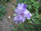 Enlarge photo 25