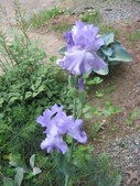 Enlarge photo 26