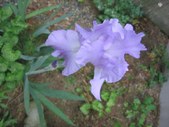 Enlarge photo 27
